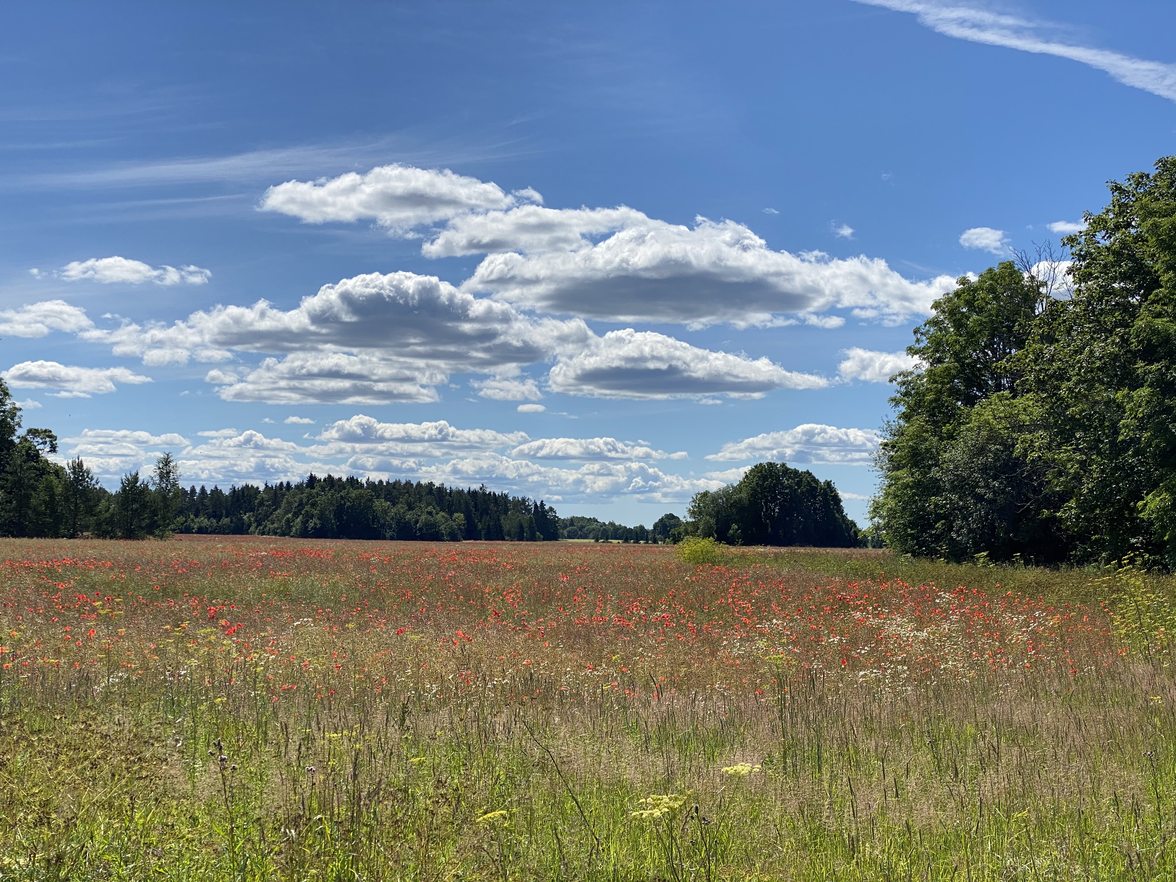 1E5AA263-0AE0-4C1C-90CF-8C354B6AAF07