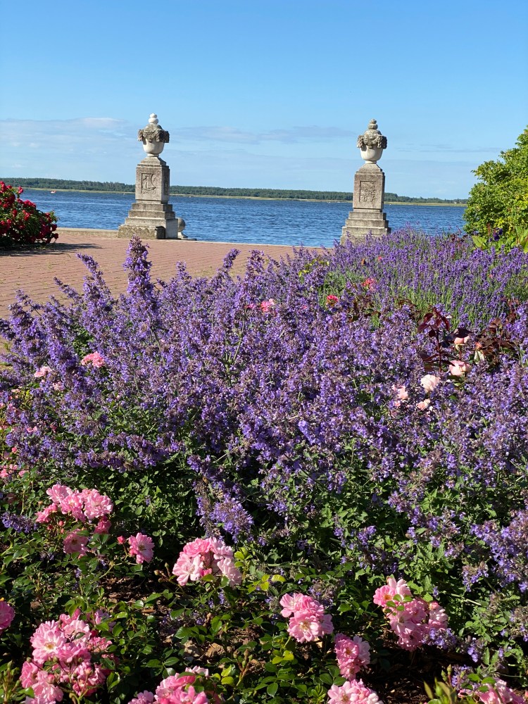 8C6A10A4-081D-4DAE-ABBE-18E0DD801637