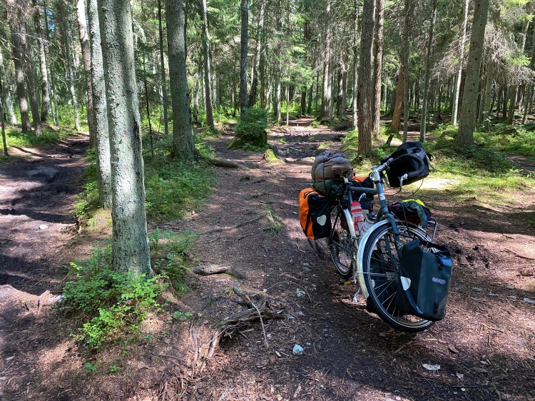 984996F7-101F-4E90-A0EB-244B2C8AE52C