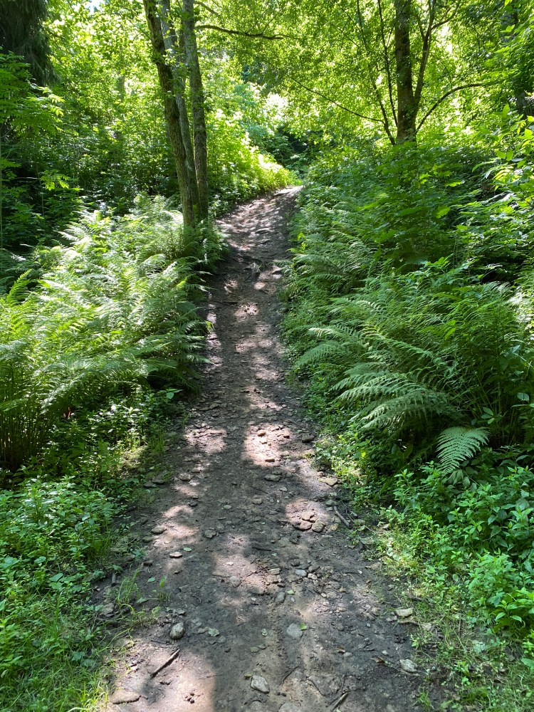 E35CCFAC-83B3-452D-8006-68EE108D6CD4