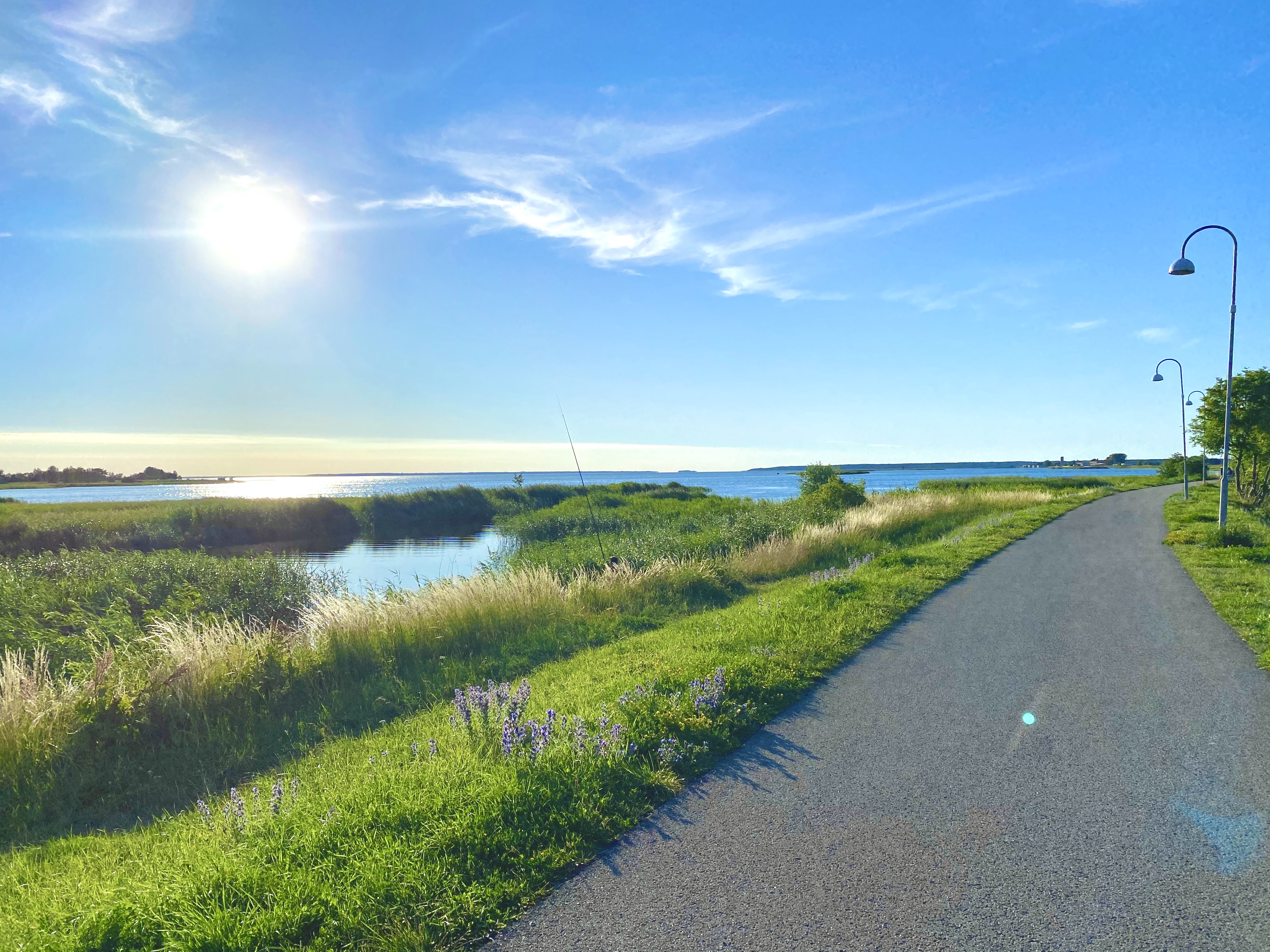 E69268CB-4561-4098-952E-A3603E79A0A9